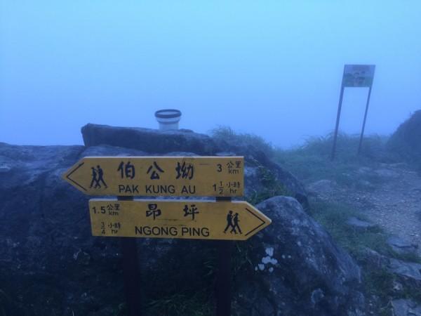 黎明守卫者