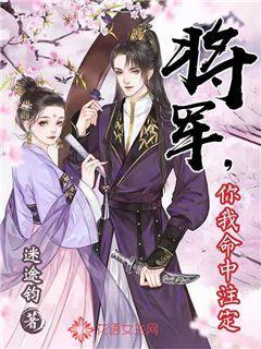 完美的收藏品